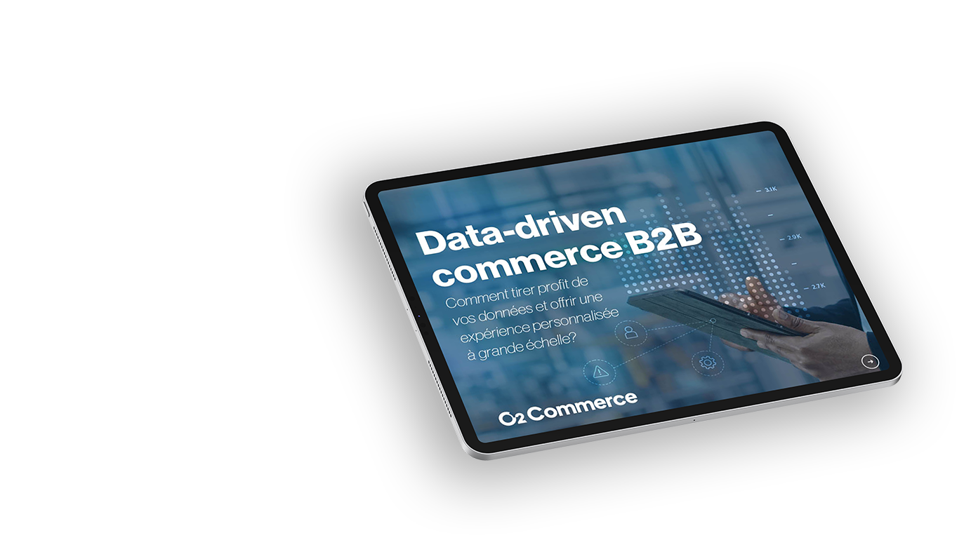 data-driven-commerce-b2b-white-paper